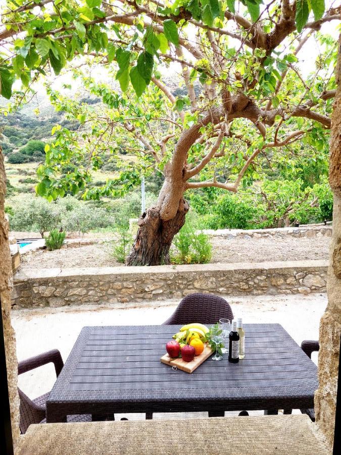 Petrakis Cretan Homes Kíssamos Eksteriør bilde