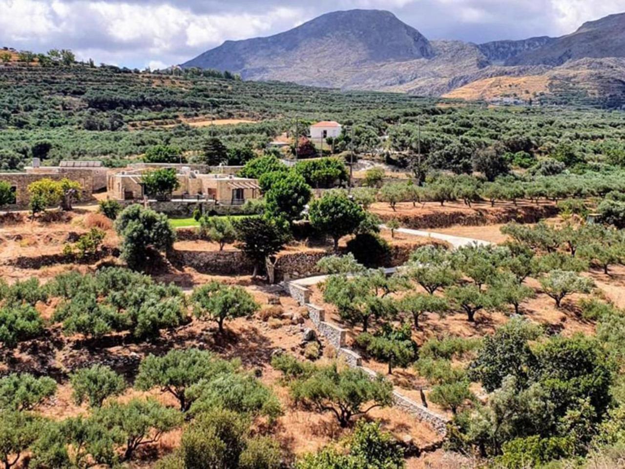 Petrakis Cretan Homes Kíssamos Eksteriør bilde