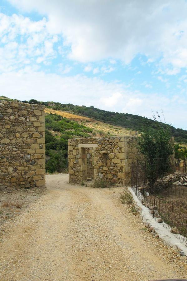 Petrakis Cretan Homes Kíssamos Eksteriør bilde
