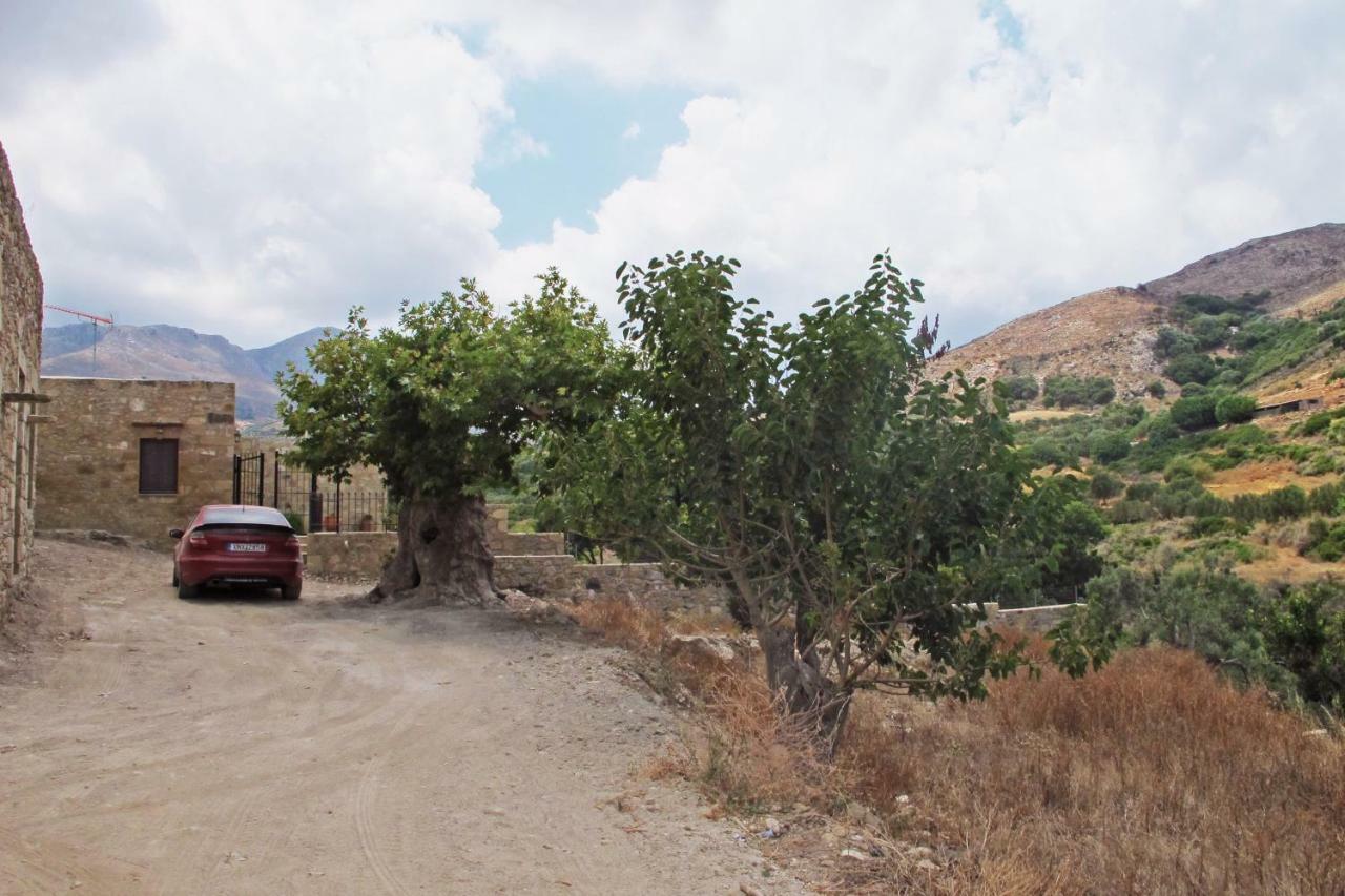 Petrakis Cretan Homes Kíssamos Eksteriør bilde