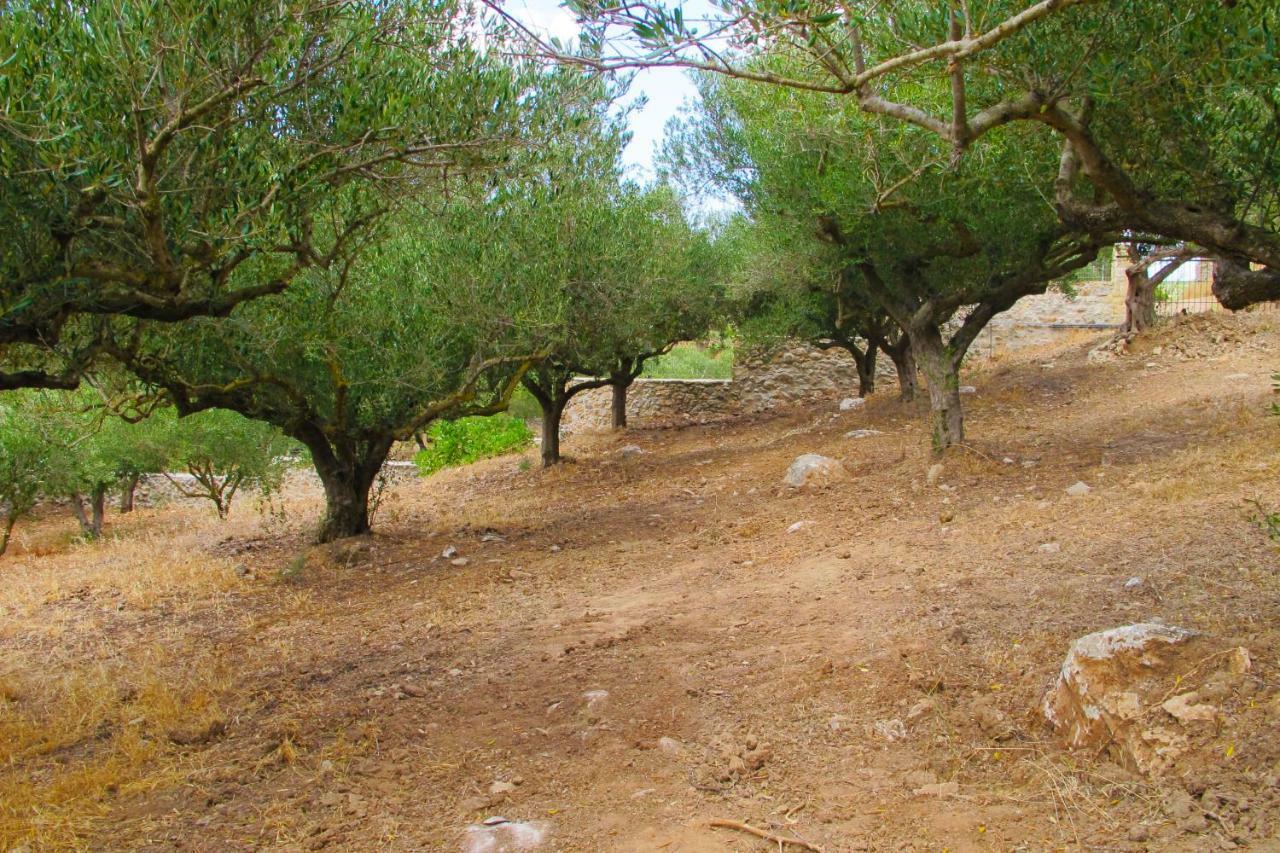 Petrakis Cretan Homes Kíssamos Eksteriør bilde