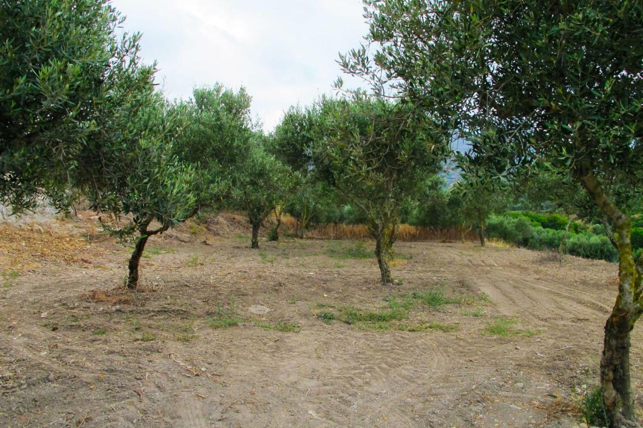 Petrakis Cretan Homes Kíssamos Eksteriør bilde