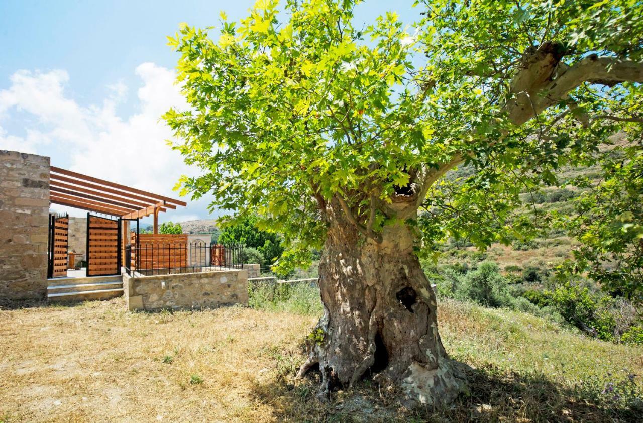 Petrakis Cretan Homes Kíssamos Eksteriør bilde